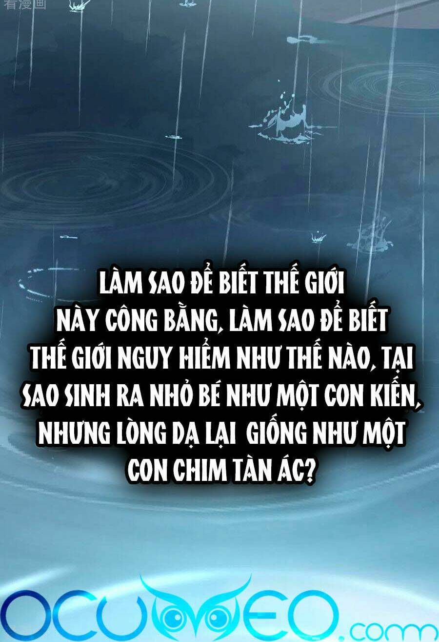 hậu cung của nữ đế chapter 241 - Trang 2