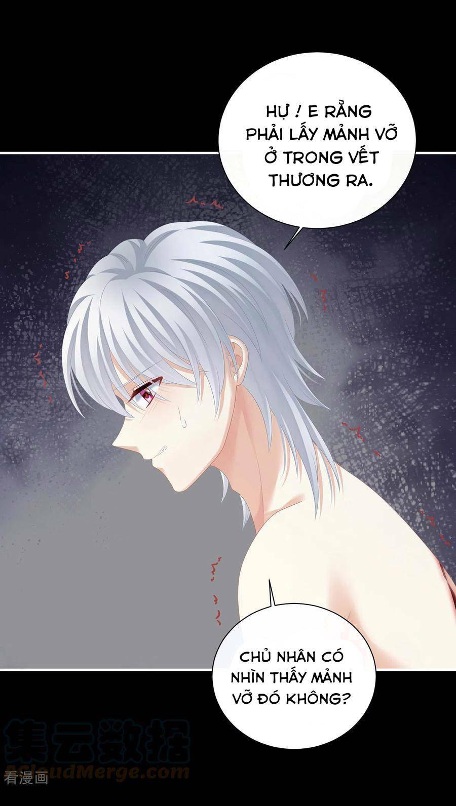 hậu cung của nữ đế chapter 271 - Trang 2