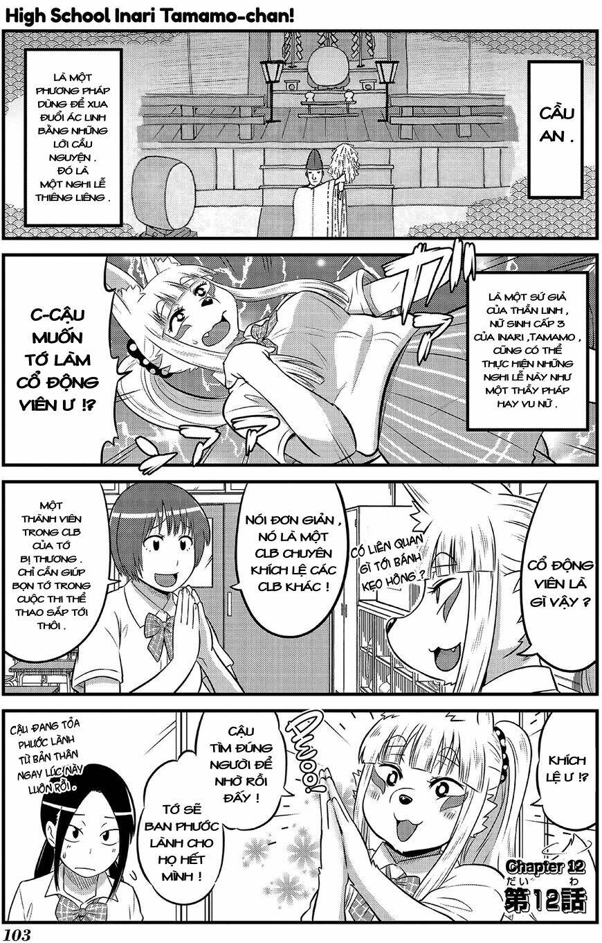 High School Inari Tamamo-Chan Chapter 12 - Next Chapter 13