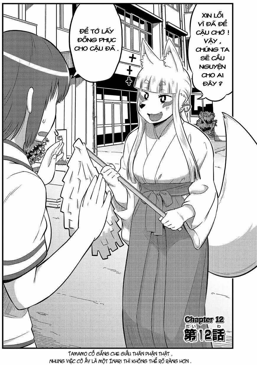 High School Inari Tamamo-Chan Chapter 12 - Trang 2