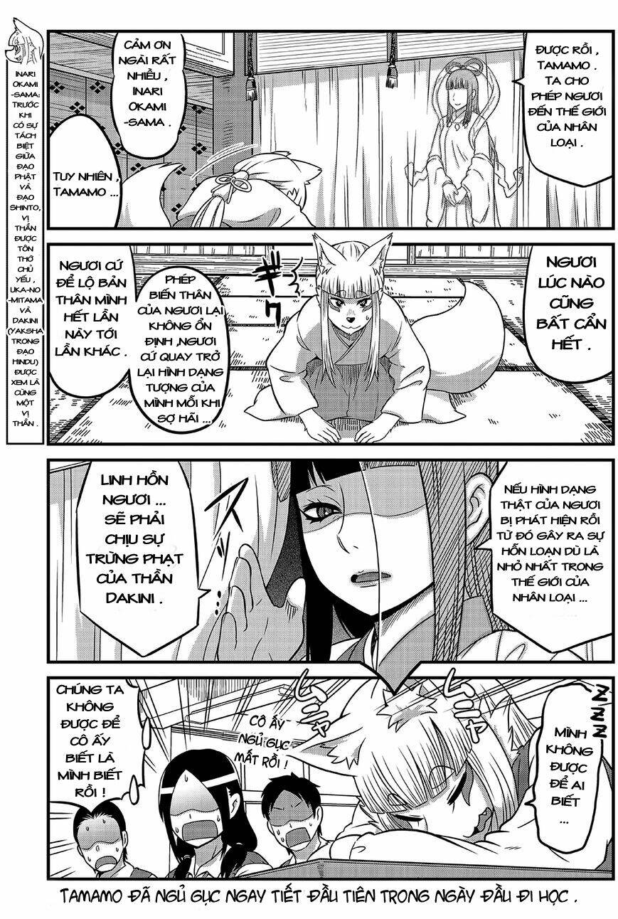 High School Inari Tamamo-Chan Chapter 2 - Next Chapter 3