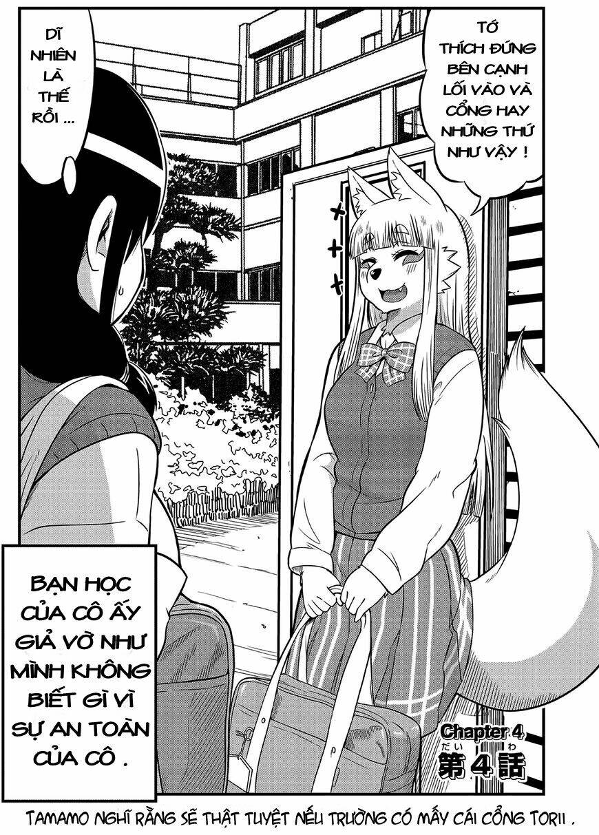 High School Inari Tamamo-Chan Chapter 4 - Next Chapter 5