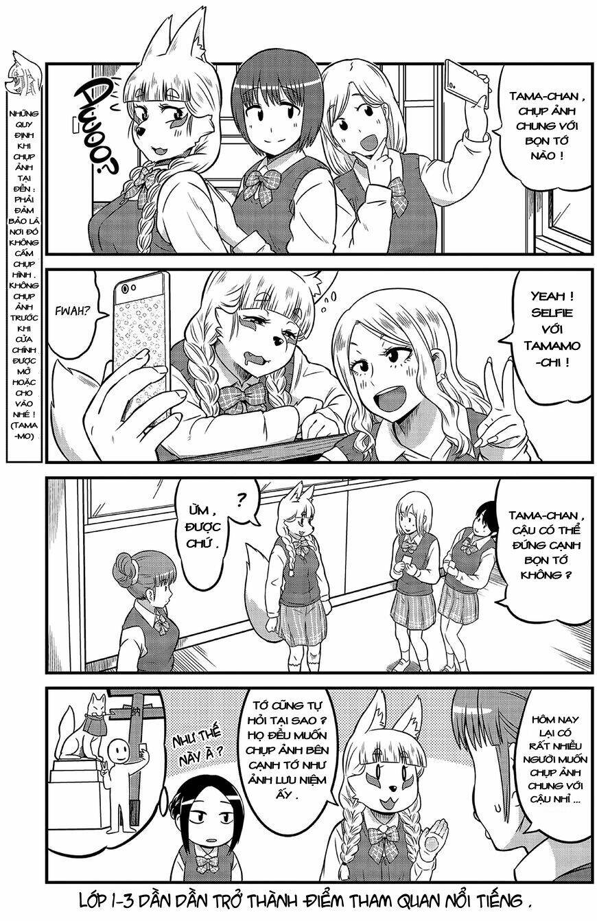 High School Inari Tamamo-Chan Chapter 4 - Next Chapter 5