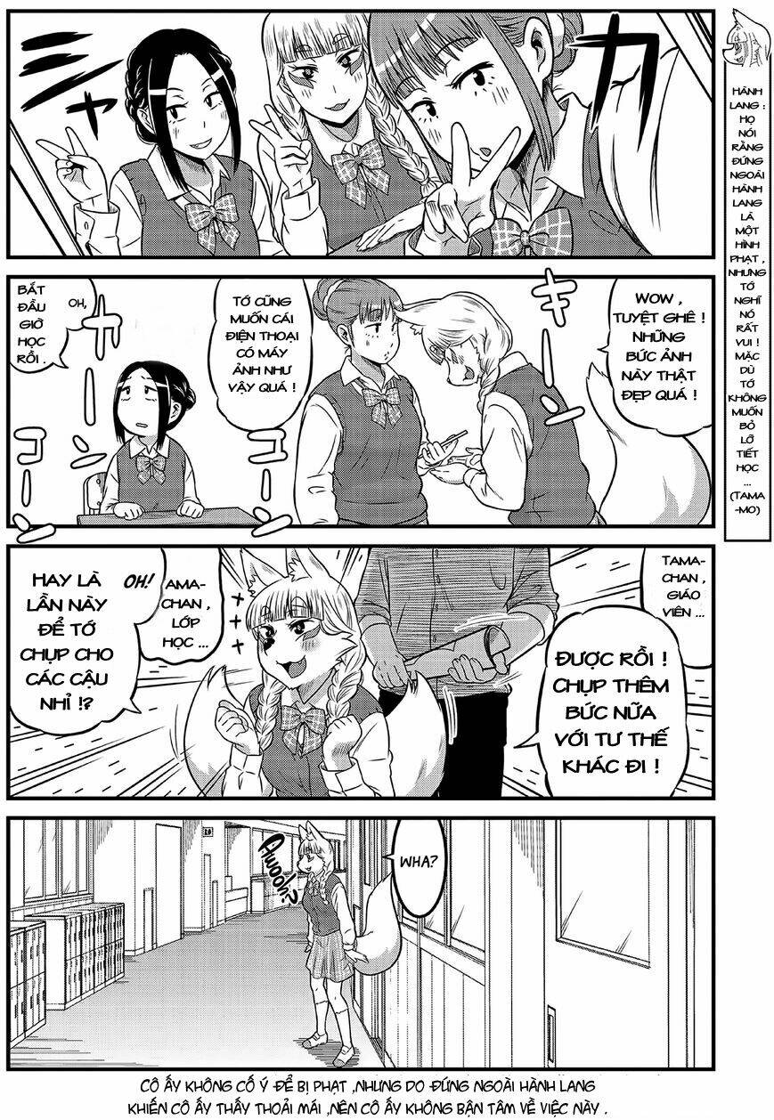 High School Inari Tamamo-Chan Chapter 4 - Next Chapter 5