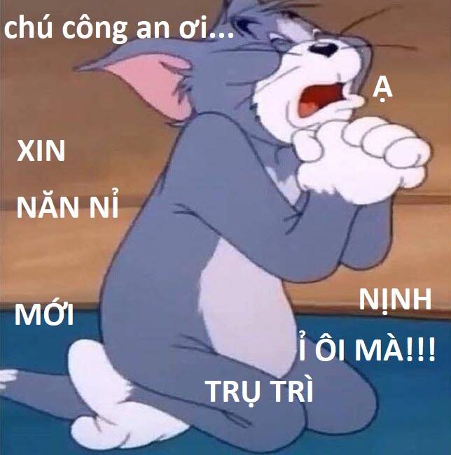 hổ đến chơi nhà chương 84 - Next chương 85