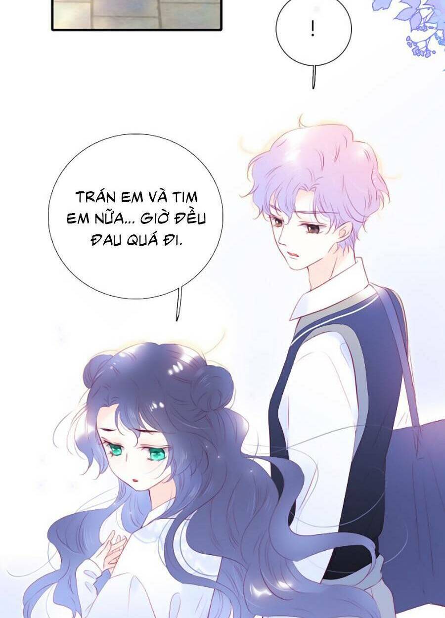 hoa bỏ chạy với nhím rồi chapter 56 - Trang 2