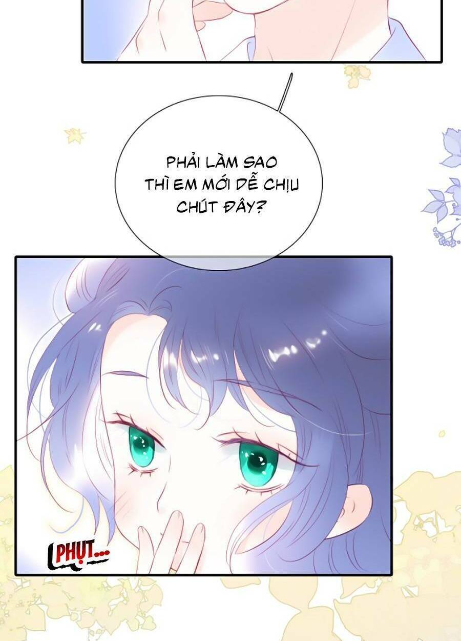 hoa bỏ chạy với nhím rồi chapter 56 - Trang 2