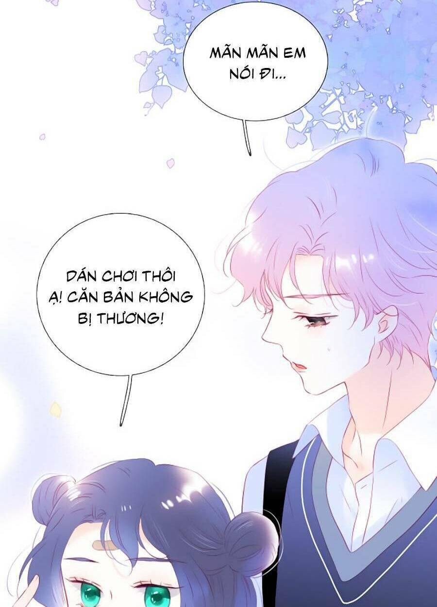 hoa bỏ chạy với nhím rồi chapter 56 - Trang 2