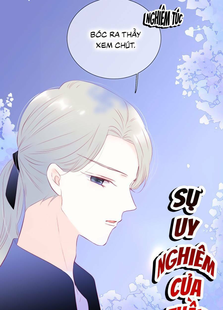 hoa bỏ chạy với nhím rồi chapter 56 - Trang 2