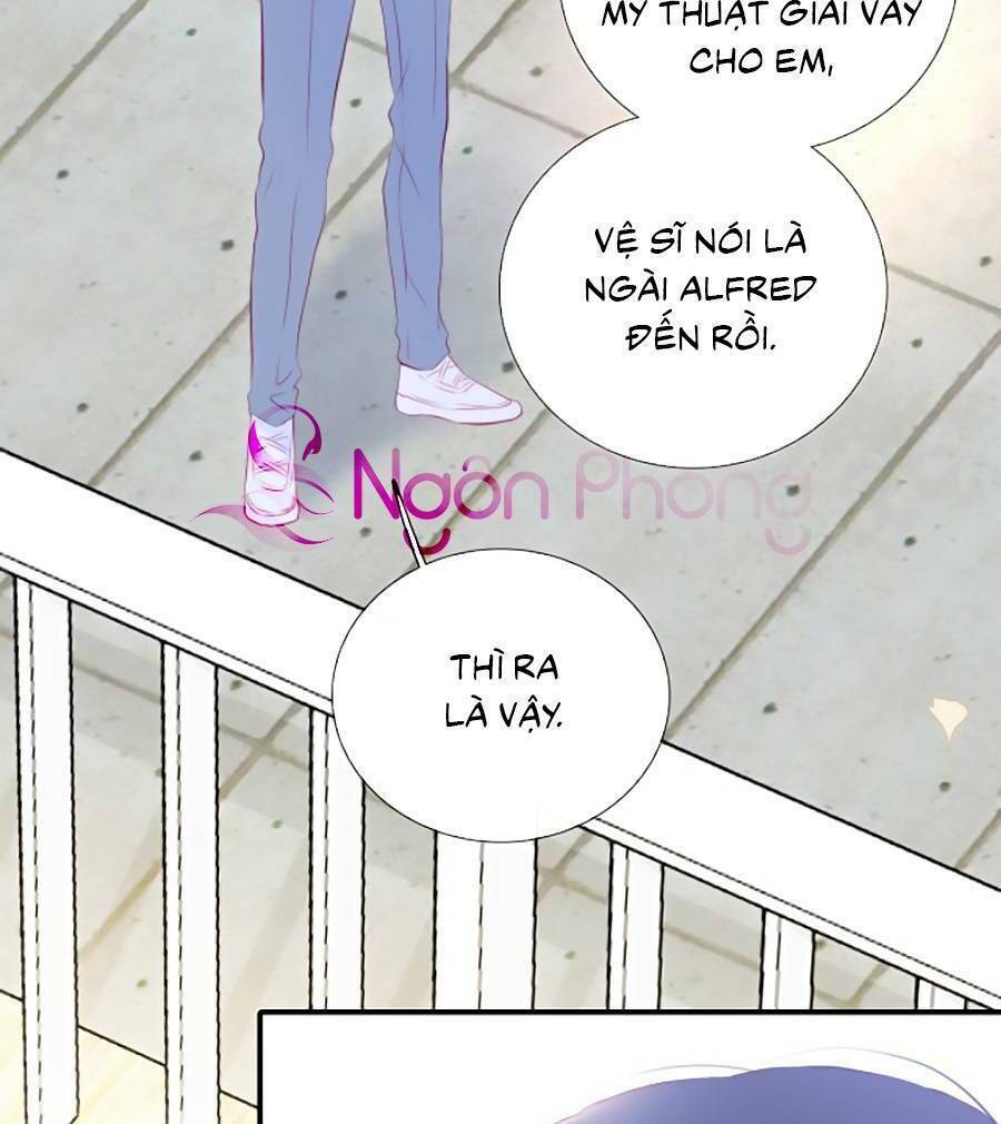 hoa bỏ chạy với nhím rồi chapter 56 - Trang 2