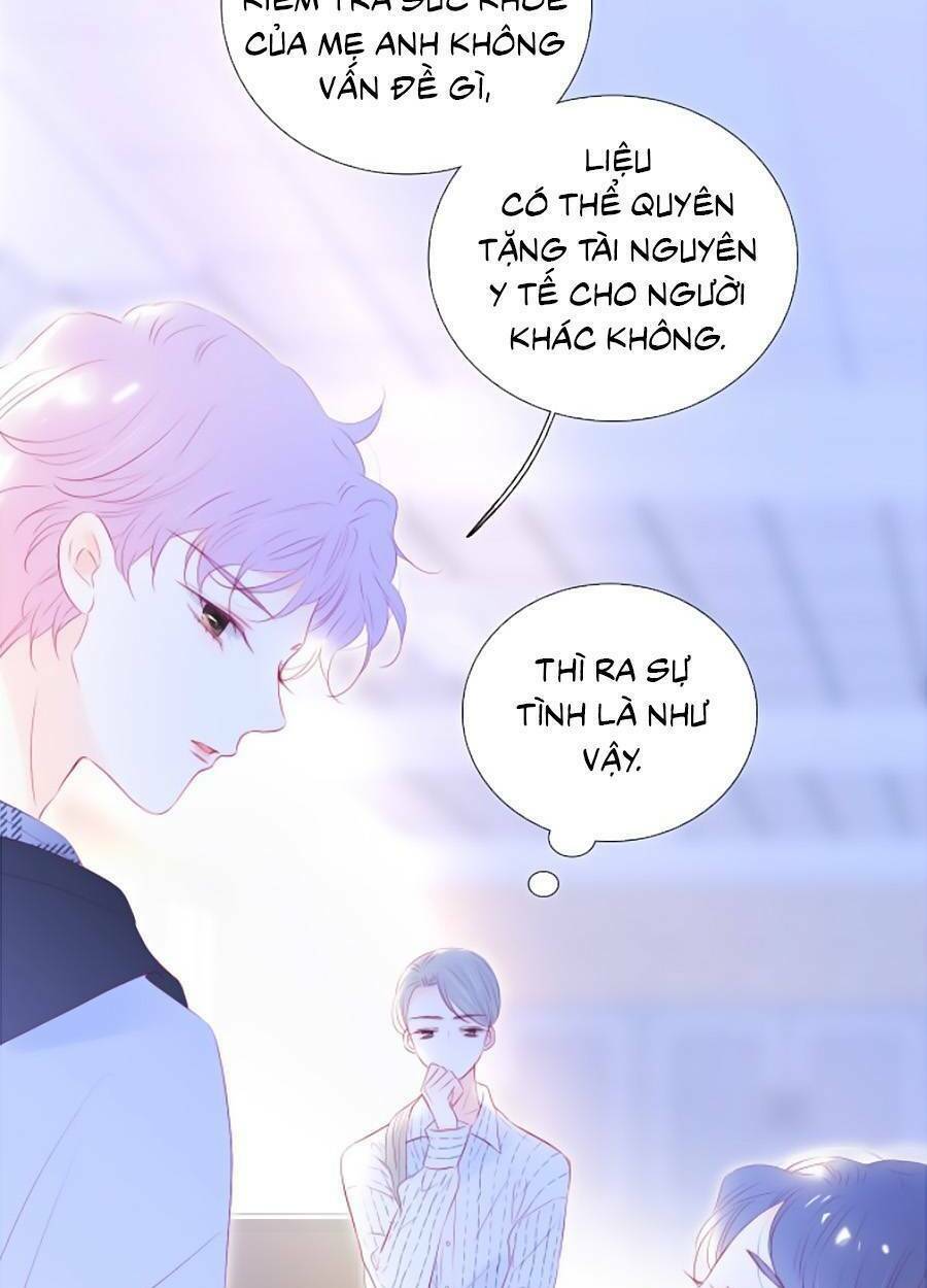 hoa bỏ chạy với nhím rồi chapter 65 - Trang 2