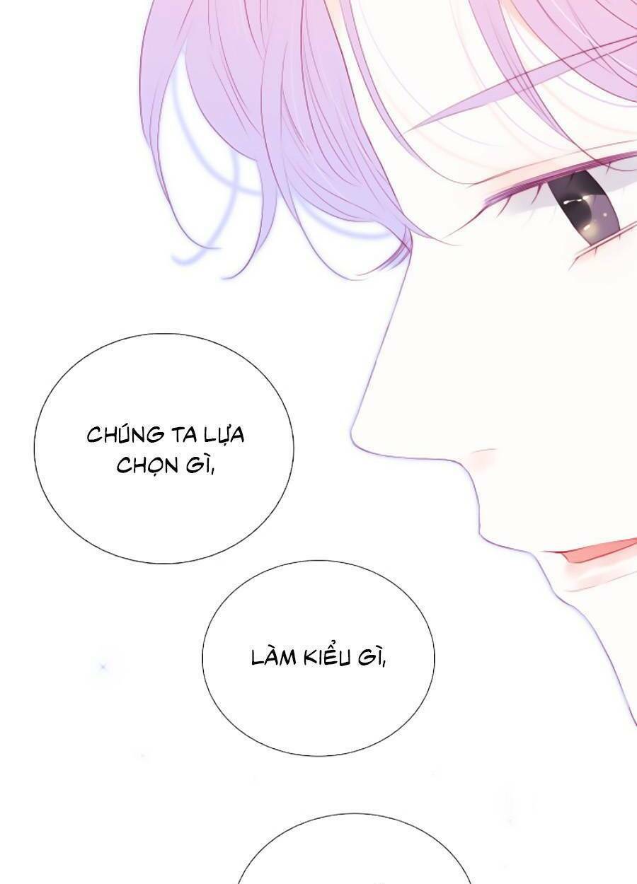 hoa bỏ chạy với nhím rồi chapter 65 - Trang 2