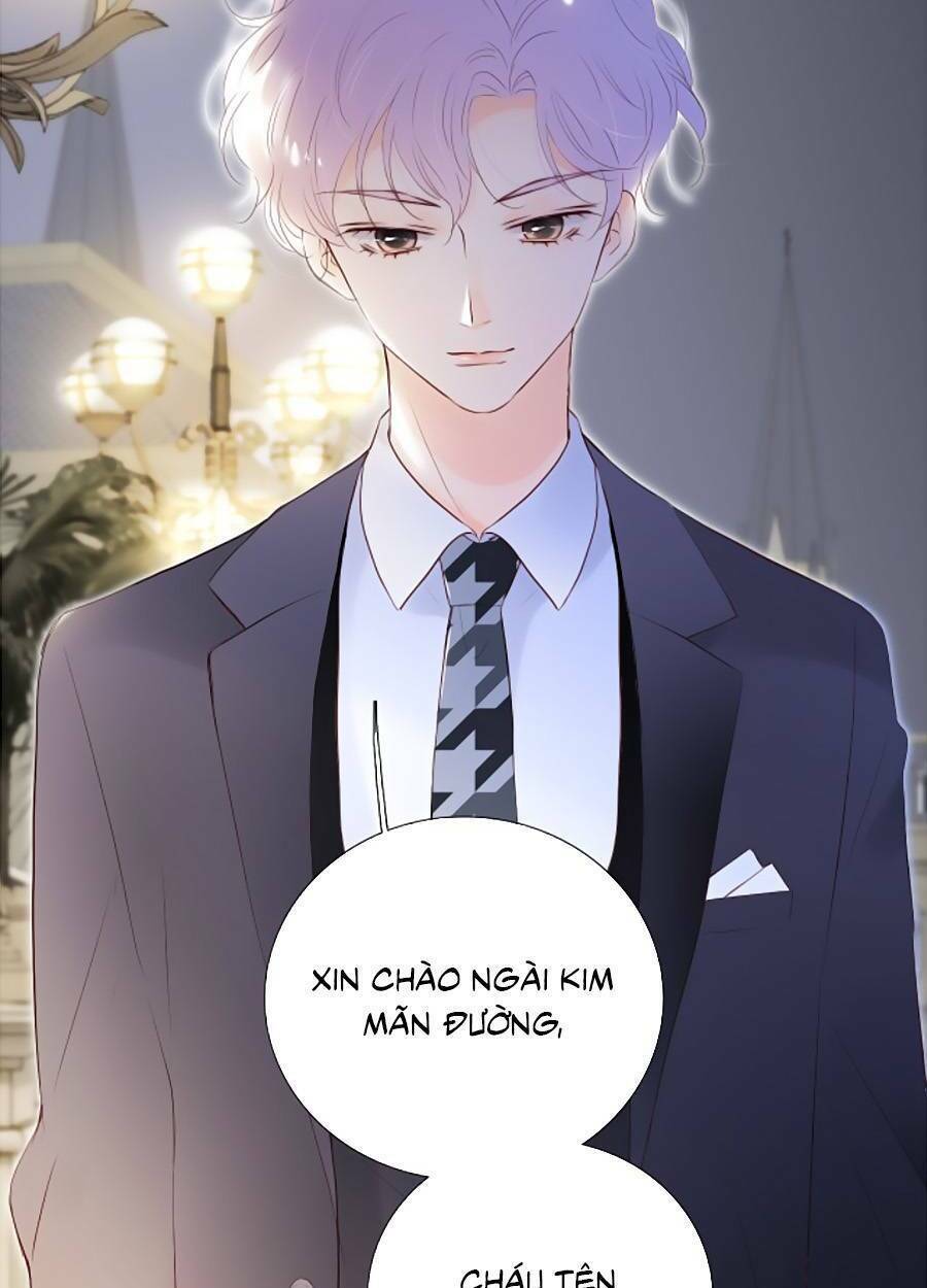 hoa bỏ chạy với nhím rồi chapter 80 - Trang 2