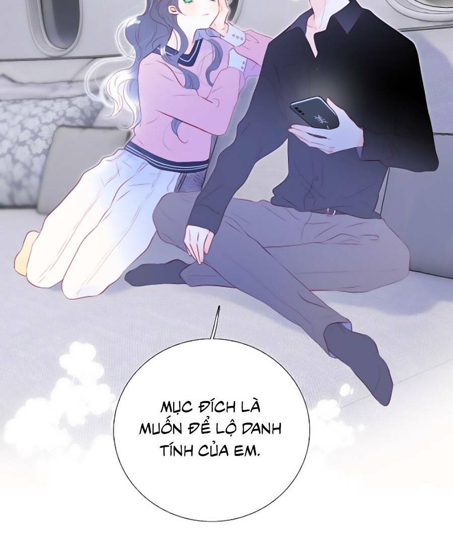 hoa bỏ chạy với nhím rồi chapter 85 - Trang 2