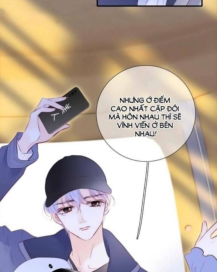 hoa bỏ chạy với nhím rồi chapter 95 - Trang 2