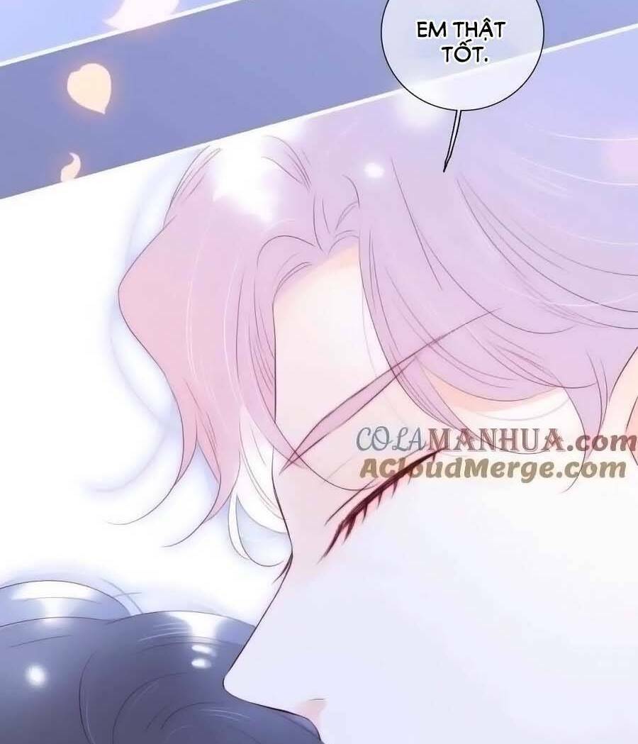 hoa bỏ chạy với nhím rồi chapter 98 - Trang 2