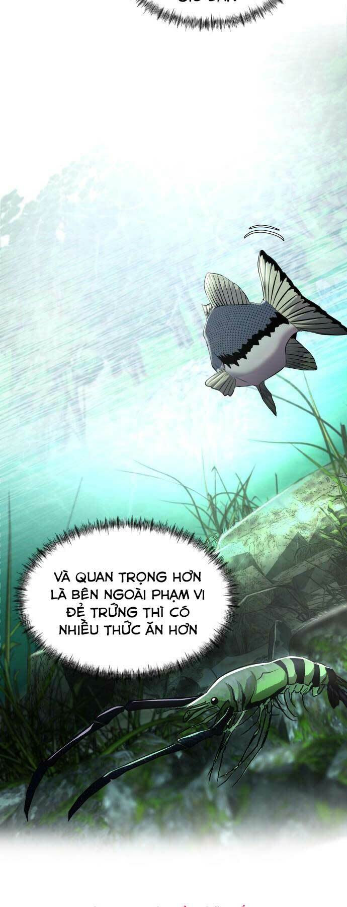 hoá thân thành cá chapter 3 - Trang 2