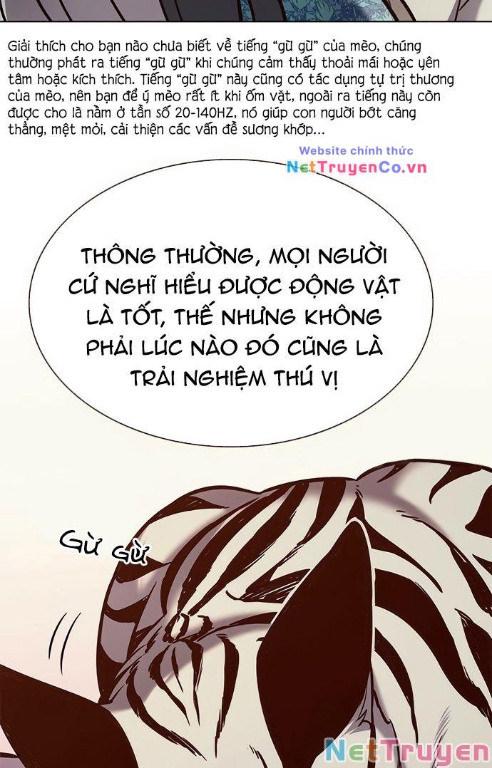 hoá thân thành mèo chapter 188 - Next chapter 189