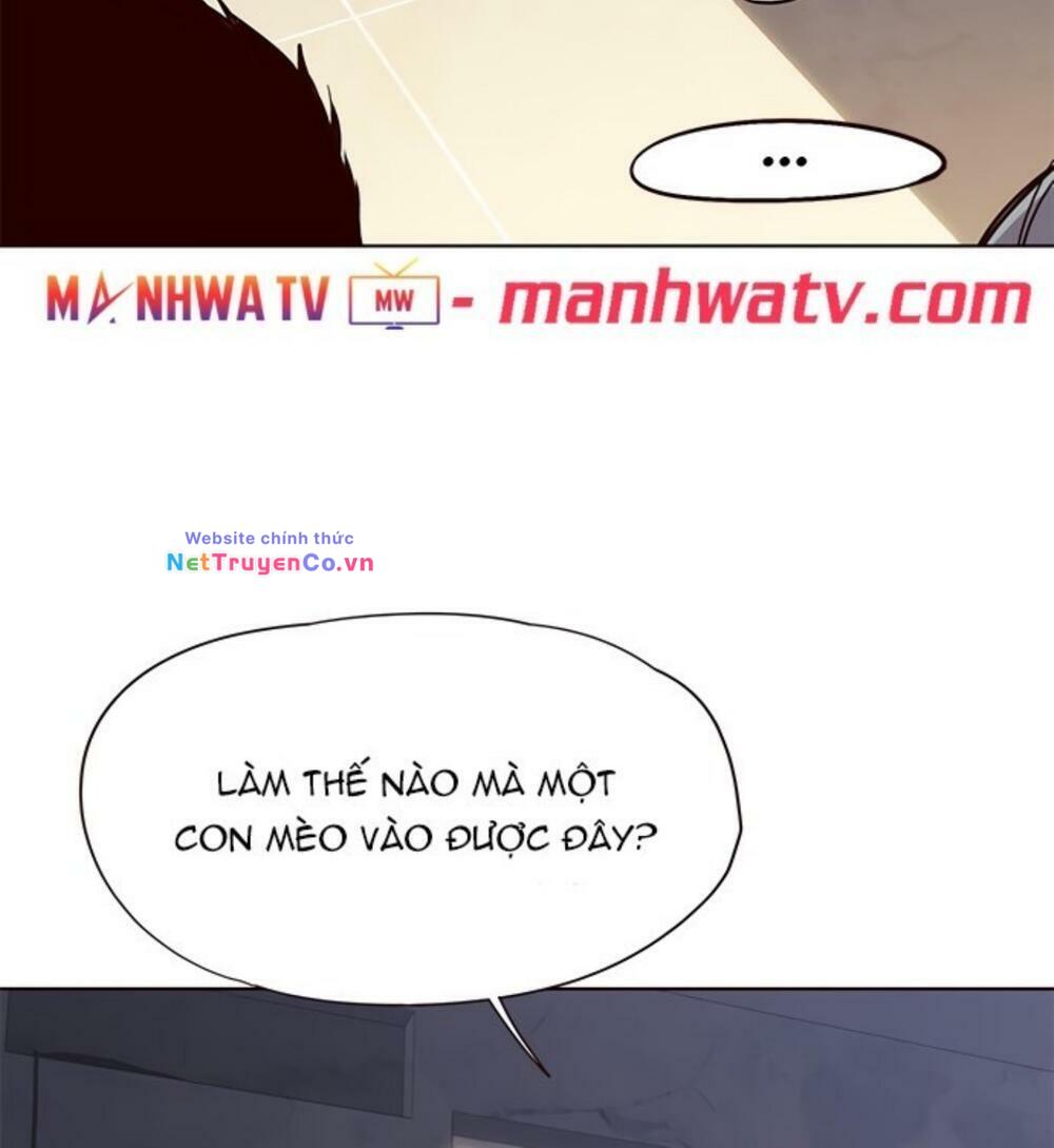 hoá thân thành mèo chapter 19 - Trang 3