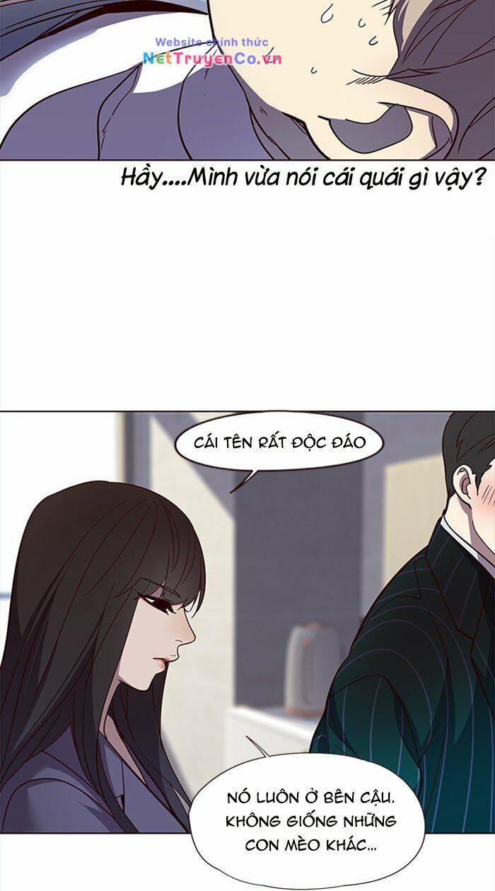 hoá thân thành mèo chapter 28 - Next chapter 29