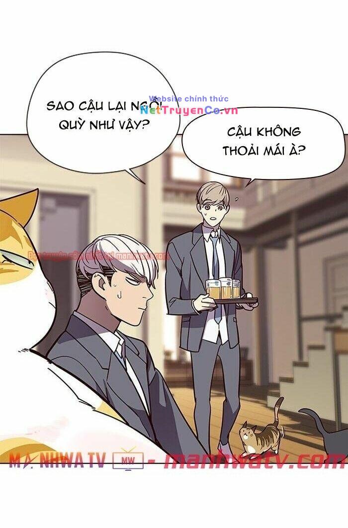 hoá thân thành mèo chapter 49 - Trang 2