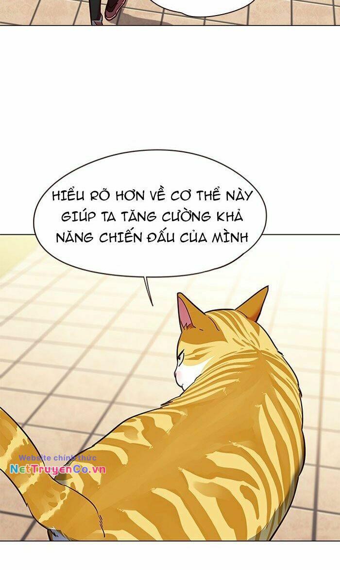 hoá thân thành mèo chapter 80 - Trang 2