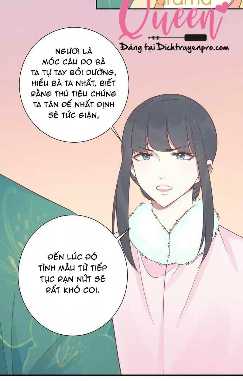 hoàng hậu bận lắm chapter 195 - Next chapter 195.5