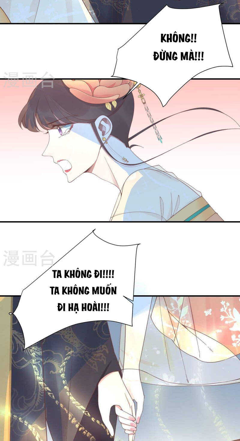 hoàng hậu bận lắm chapter 214: (hết) - Trang 2