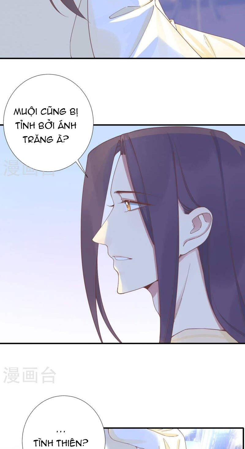 hoàng hậu bận lắm chapter 214: (hết) - Trang 2