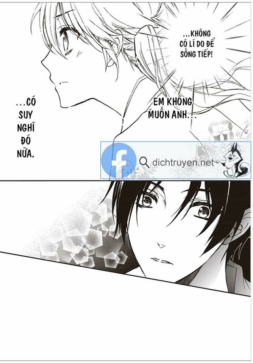 Hoàng Tử Vệ Thần Nhà Momochi Chapter 35 - Trang 2