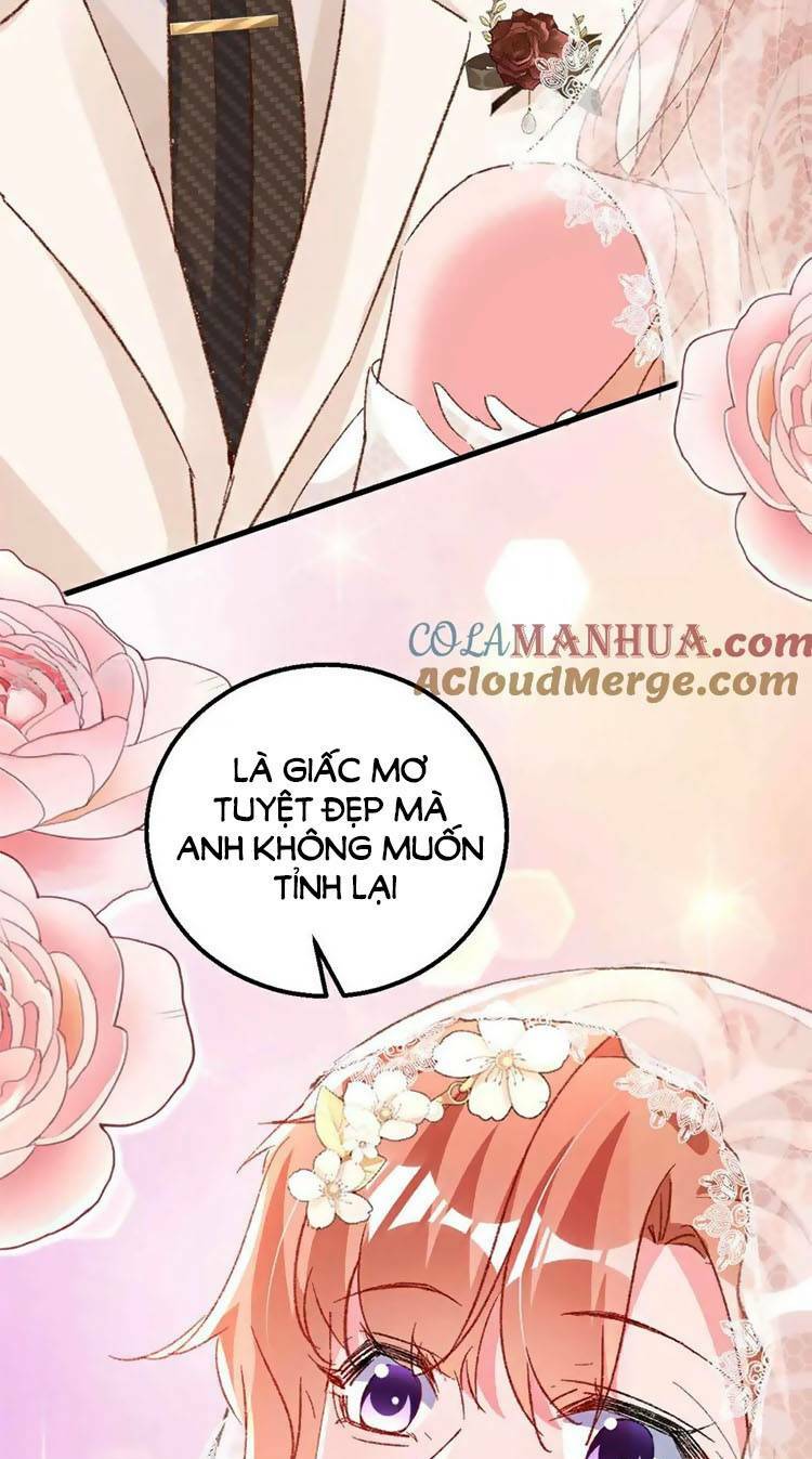 hôm nay từ chối lục tiên sinh chưa? chapter 205 - Next 