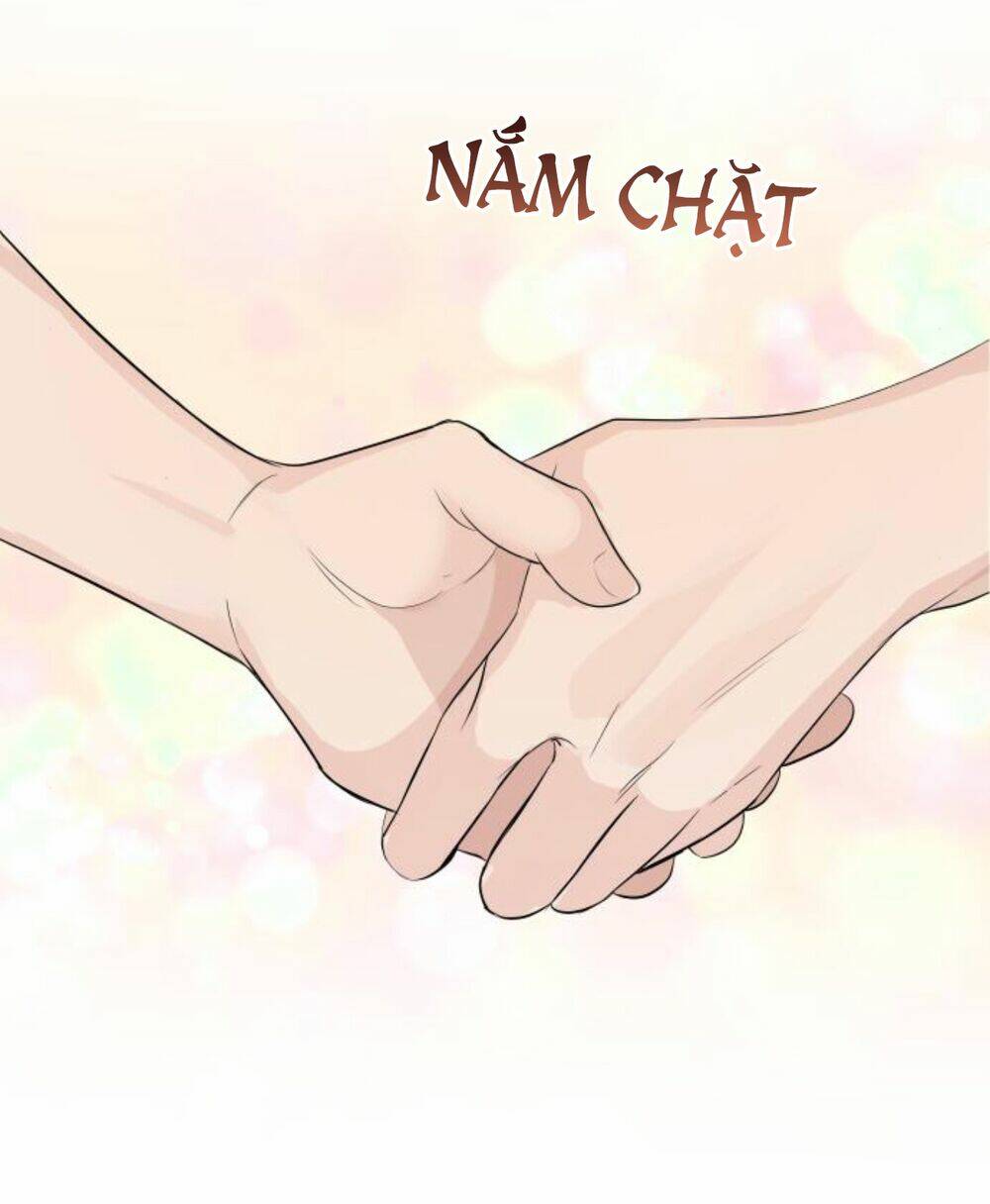 Hôn Nhân Hoàn Hảo Chapter 27 - Next Chapter 28