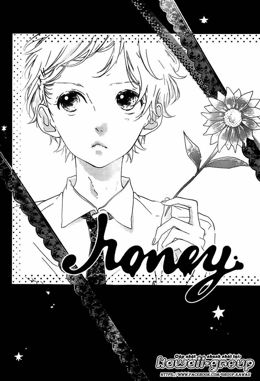 Honey (Meguro Amu) Chapter 20 - Next Chapter 21