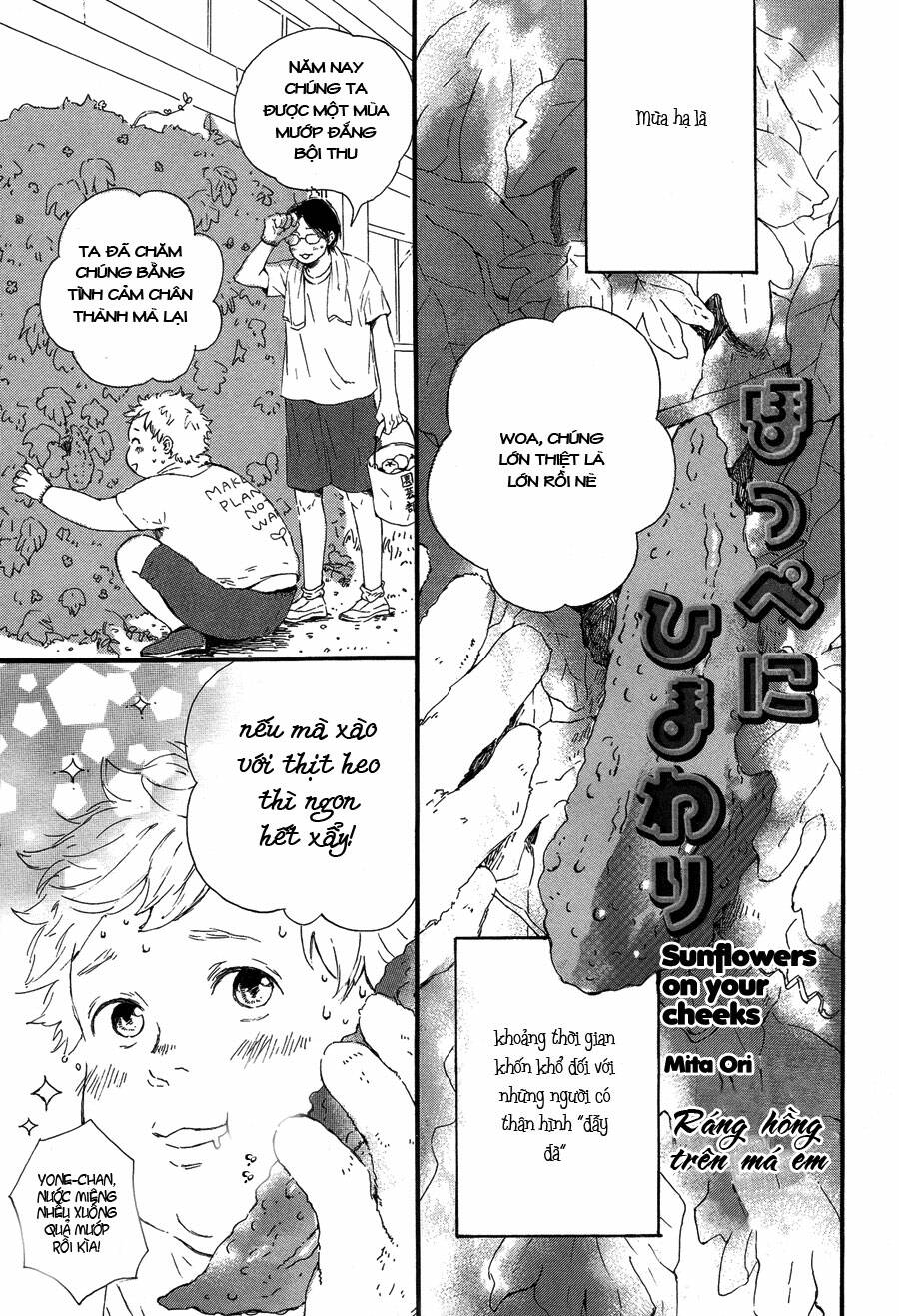 Hoppe Ni Himawari Chapter 1 - Trang 2