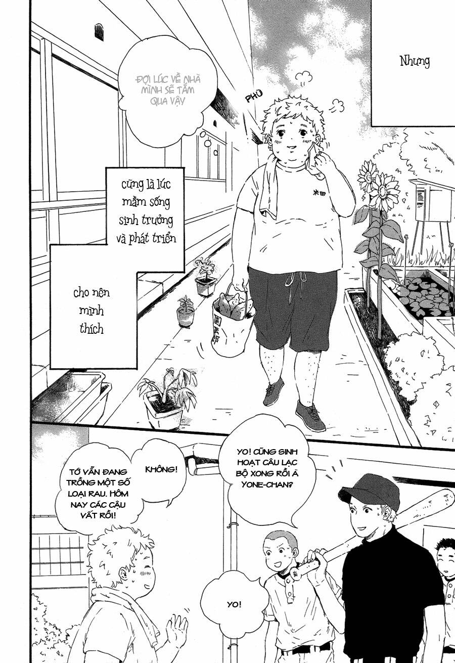 Hoppe Ni Himawari Chapter 1 - Trang 2