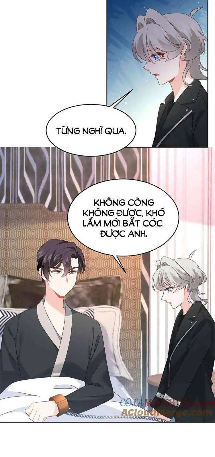 hotboy quốc dân là nữ chapter 425 - Trang 2