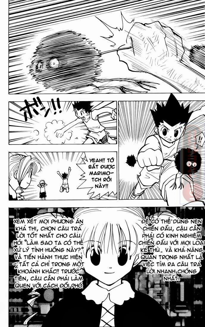 hunter x hunter chương 141 - Next chương 142