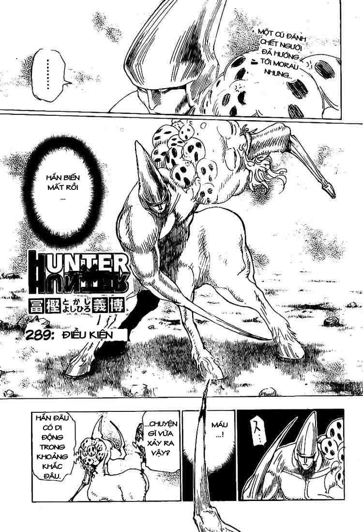 hunter x hunter chương 289 - Next chương 290