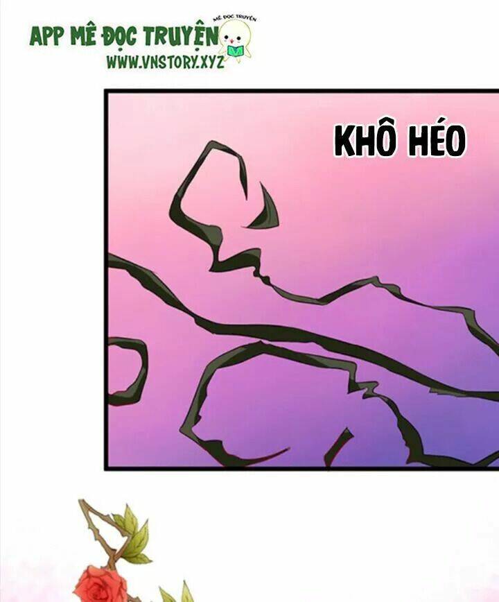 Huyết Tộc Đáng Yêu Chapter 71 - Next Chapter 72