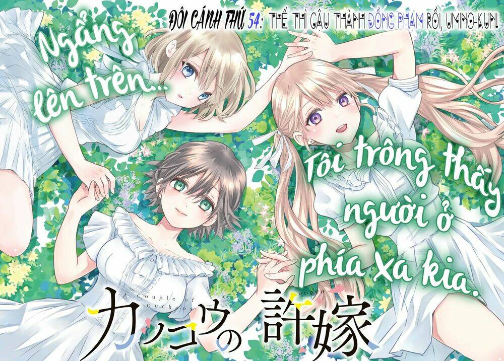 kakkou no iinazuke chapter 54: thế thì cậu thành đồng phạm rồi, umino-kun! - Next chương 55