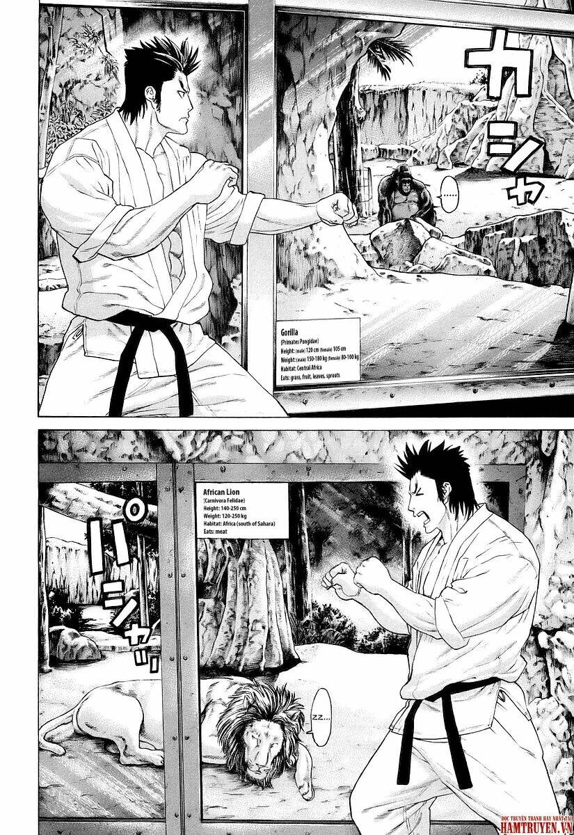 karate shoukoushi kohinata minoru chapter 251 - Trang 2