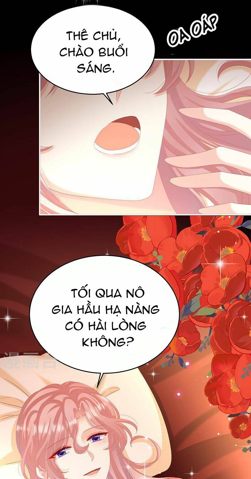 kiều phu có hỉ chapter 67 - Trang 2