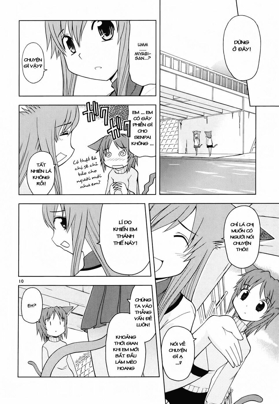 Koi Neko Chapter 25 - Next Chapter 26