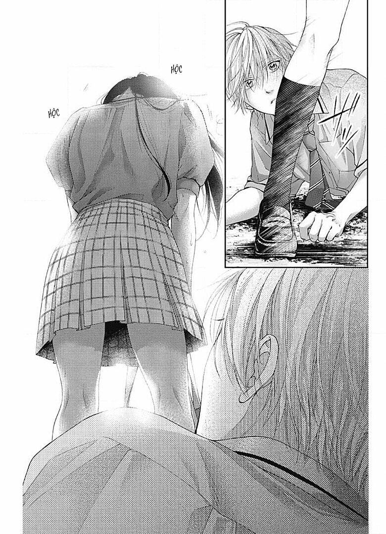 Kono Oto Tomare Chapter 105 - Trang 3