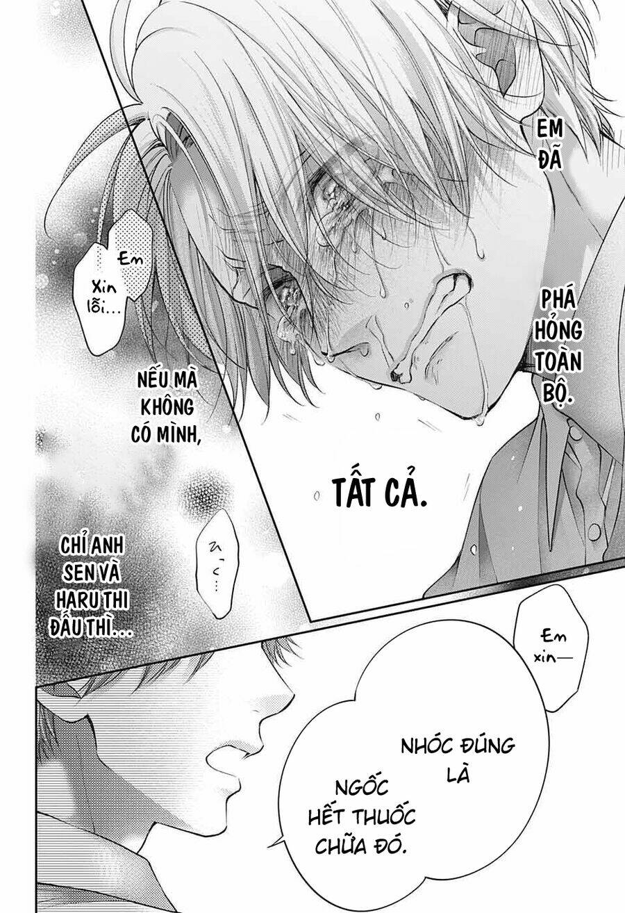 Kono Oto Tomare Chapter 123 - Trang 3