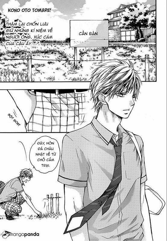 Kono Oto Tomare Chapter 22 - Trang 3