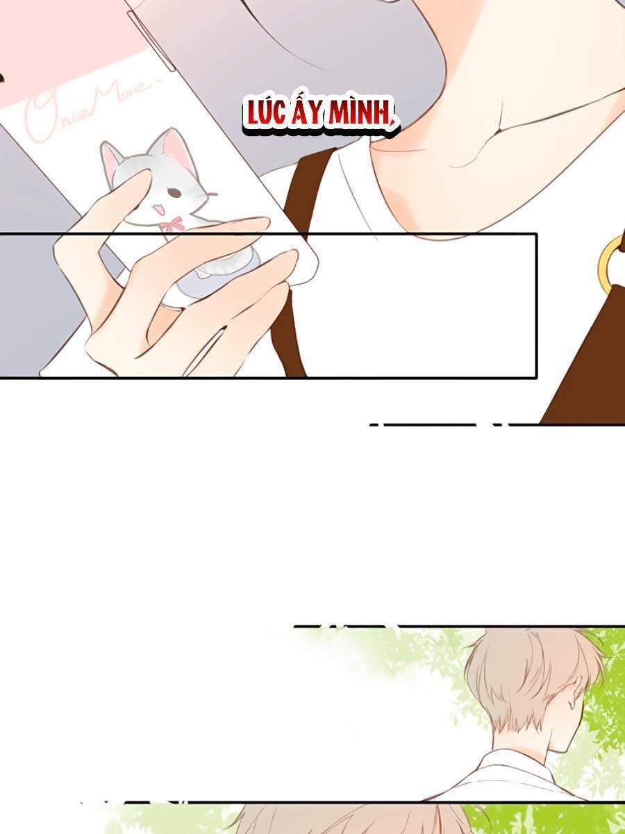 lại gặp được em Chapter 148 - Next Chap 148.5