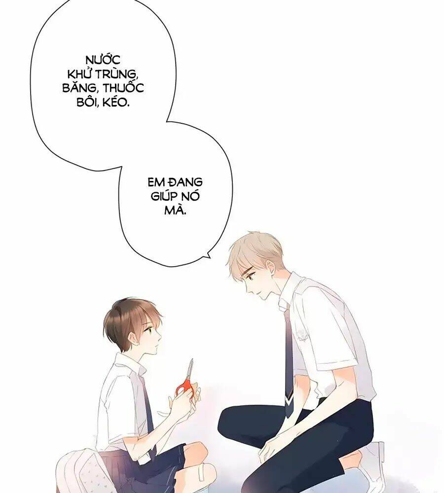 lại gặp được em chapter 25.6 - Trang 2