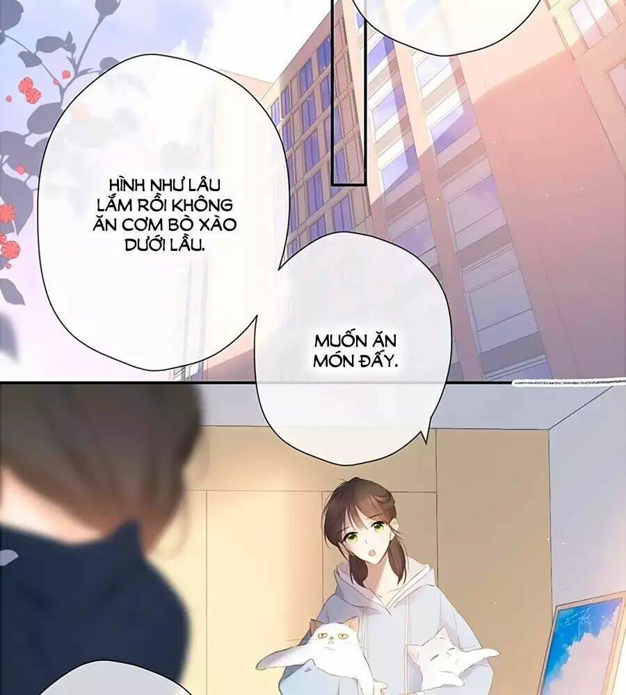 lại gặp được em chapter 32 - Next Chap 32.5