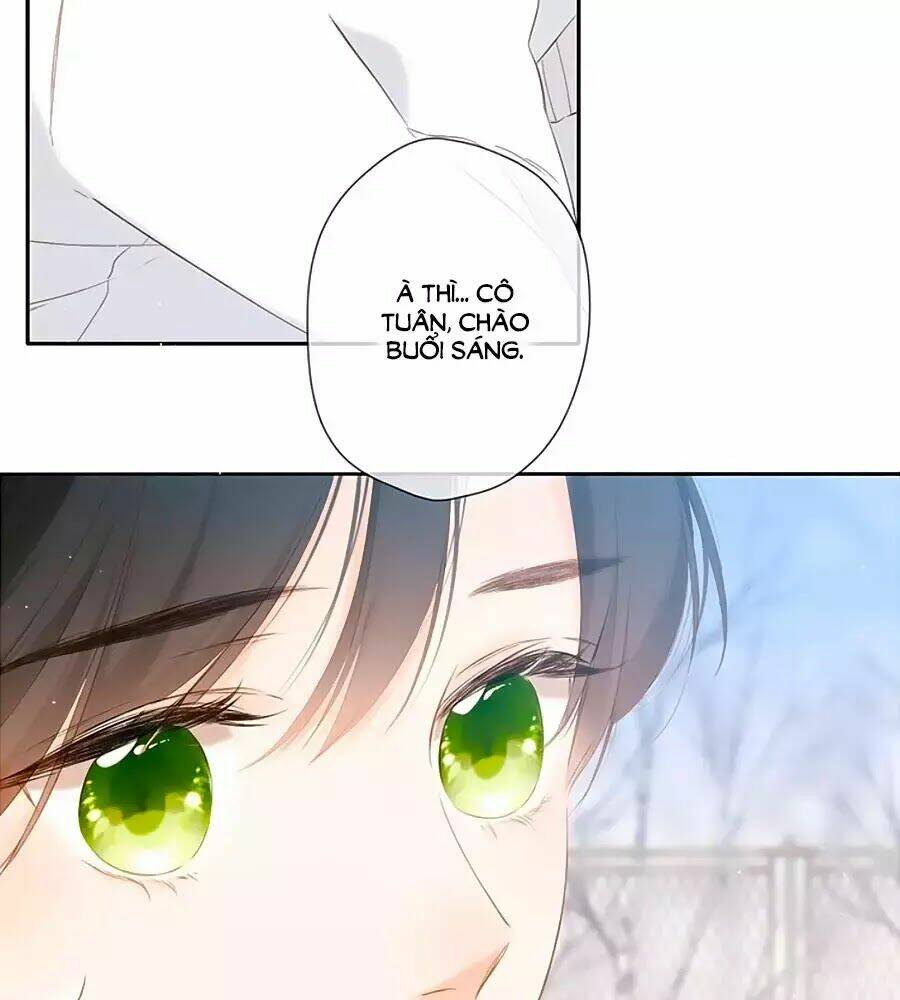 lại gặp được em chapter 33 - Next Chap 33.5